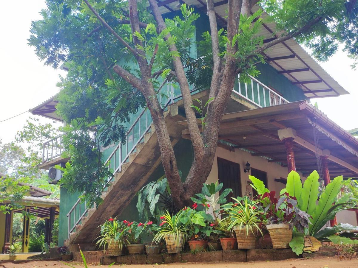 Jaana Guest Hotel Sigiriya Luaran gambar