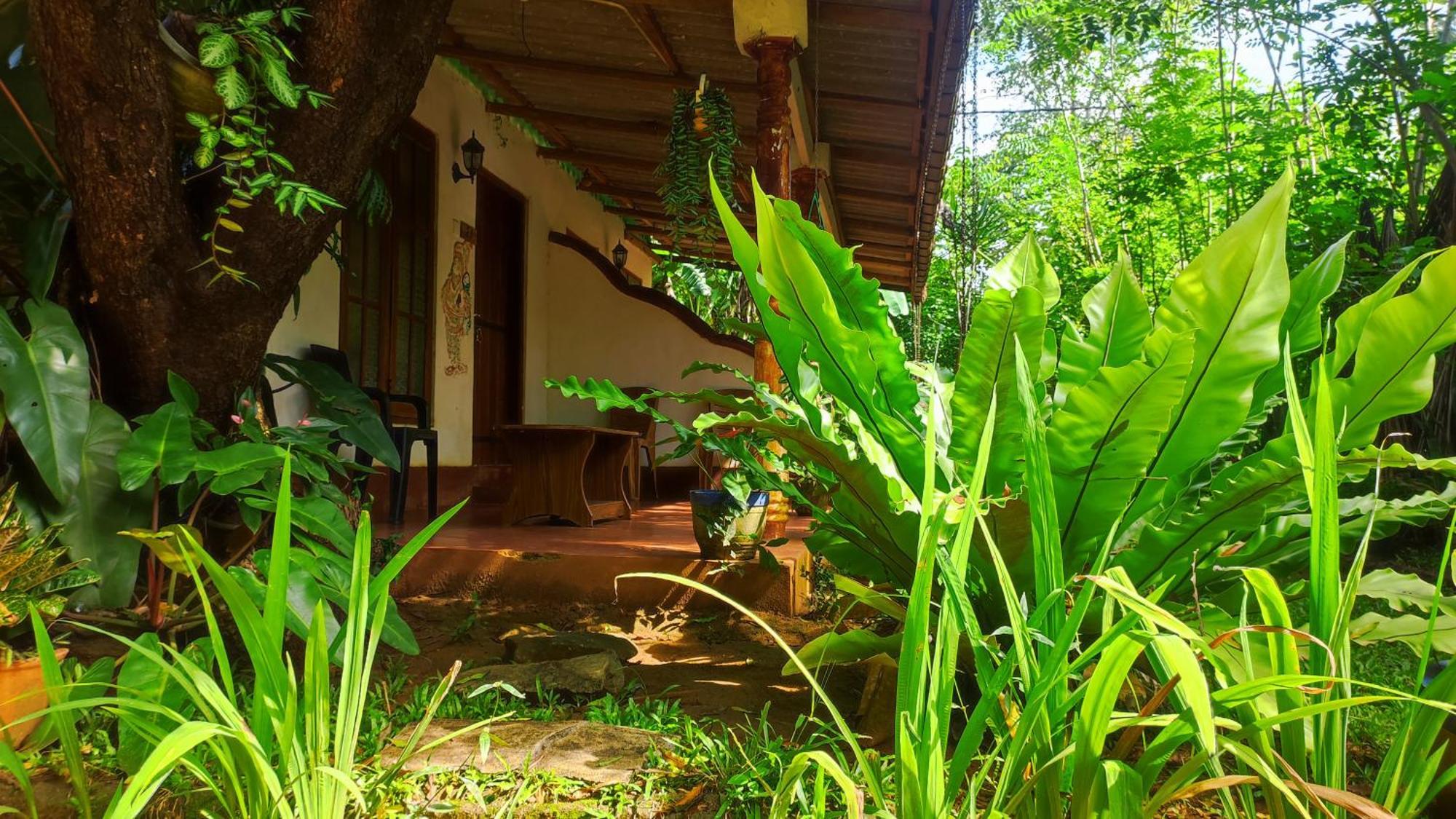 Jaana Guest Hotel Sigiriya Luaran gambar