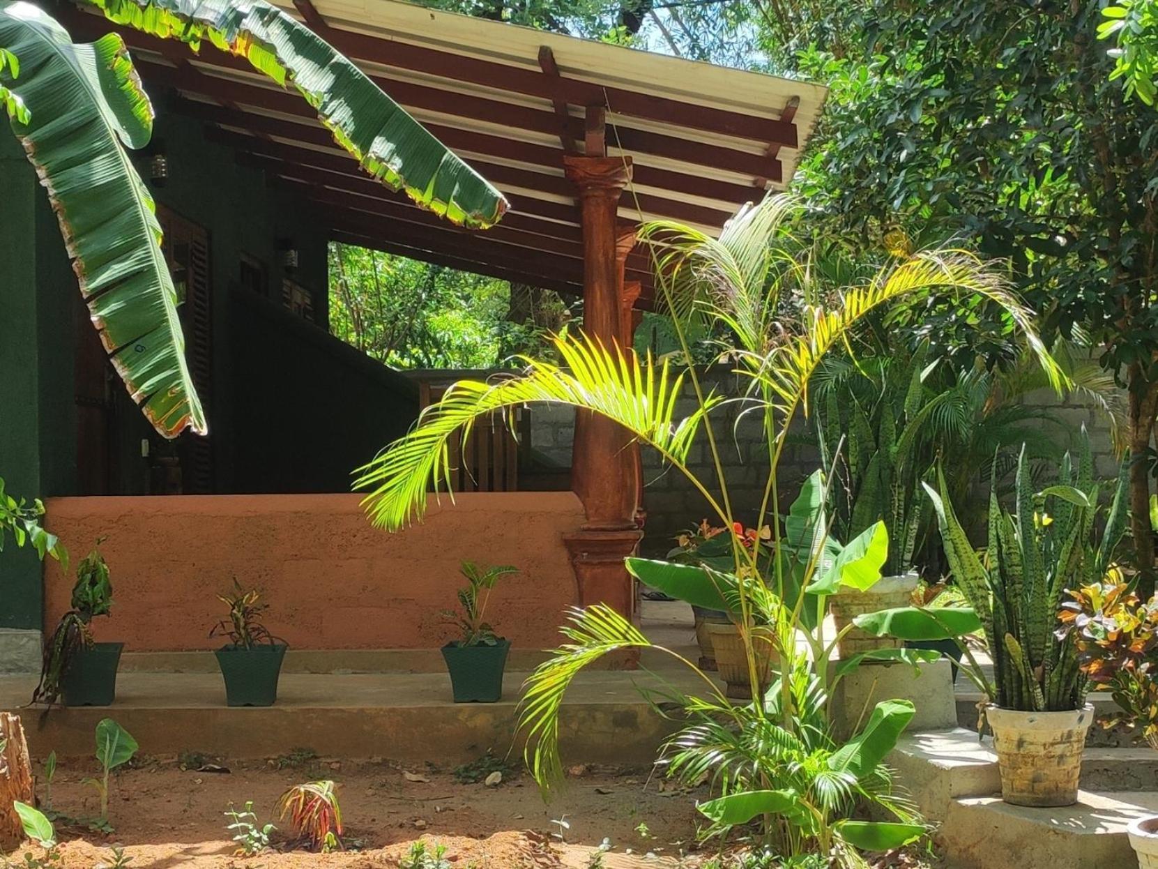 Jaana Guest Hotel Sigiriya Luaran gambar