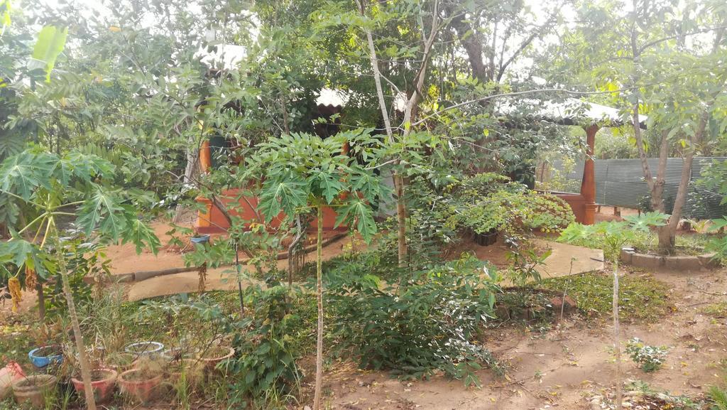 Jaana Guest Hotel Sigiriya Luaran gambar